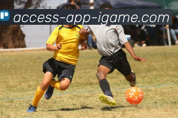 多媒体互动体验